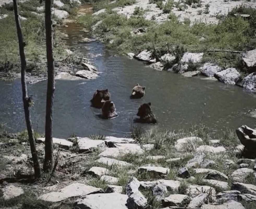 Traphouse tweet media