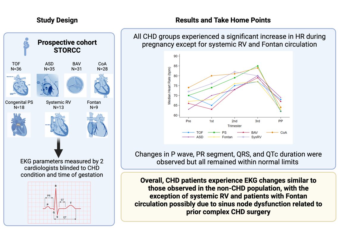 Maria A. Pabón, MD (@mapabonp) on Twitter photo Out now šØ, EKG changes in 𤰠pts with congenital heart disease
We evaluated pre-pregnancy, pregnancy and post-partum EKGs in CHD participants of our STORCC registry
Special thanks to my 𤰠cardio-OB mentors <a href="/AnneValente1/">Anne Valente</a> and Kathy Economy
š Amrit Misra <a href="/FredWuMD/">Fred Wu, MD š« å³ęę°</a>, Tom Tadros Out now šØ, EKG changes in 𤰠pts with congenital heart disease
We evaluated pre-pregnancy, pregnancy and post-partum EKGs in CHD participants of our STORCC registry
Special thanks to my 𤰠cardio-OB mentors <a href="/AnneValente1/">Anne Valente</a> and Kathy Economy
š Amrit Misra <a href="/FredWuMD/">Fred Wu, MD š« å³ęę°</a>, Tom Tadros