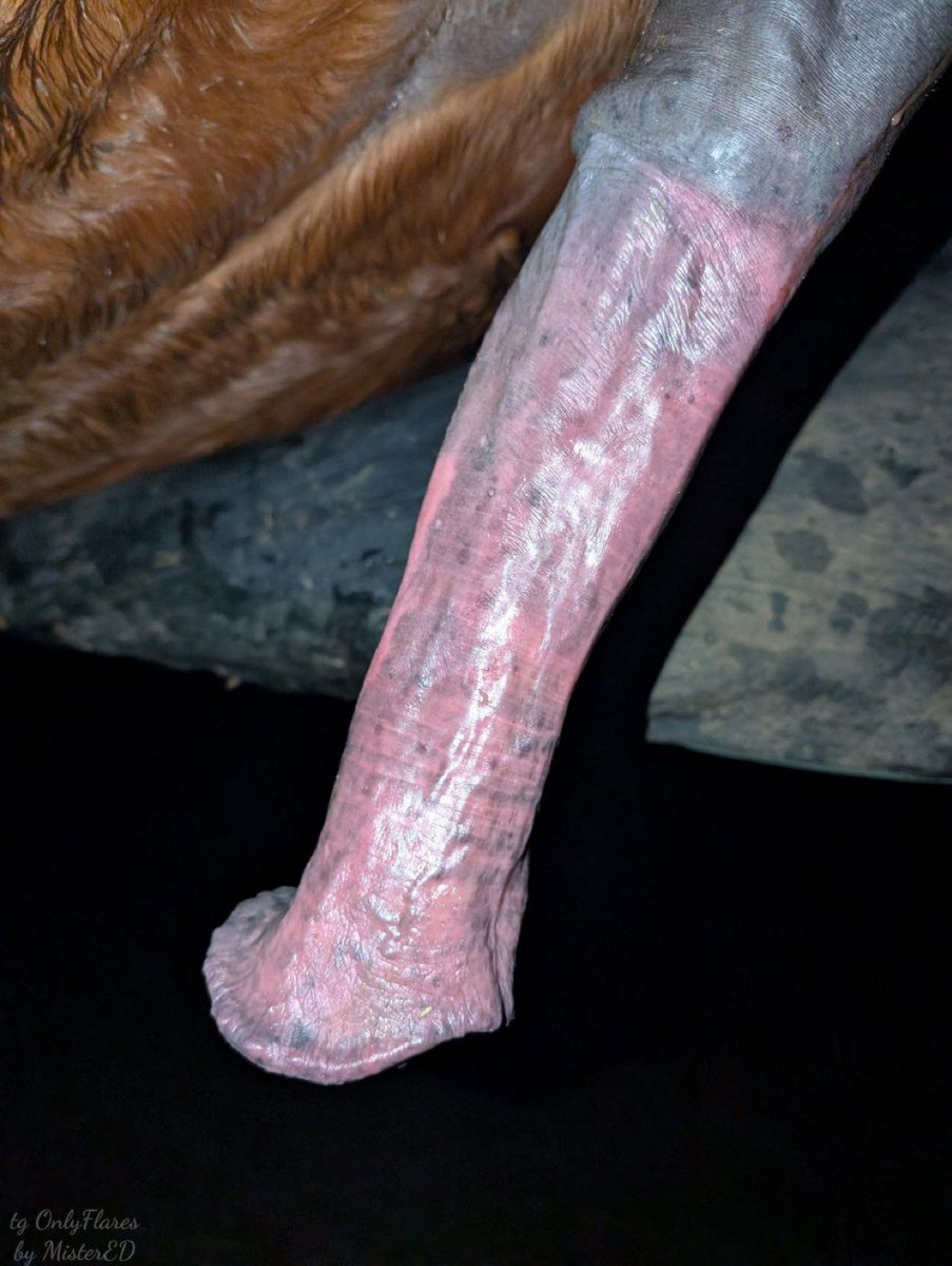 Harley Quinn (@harleyquinn0485) on Twitter photo 