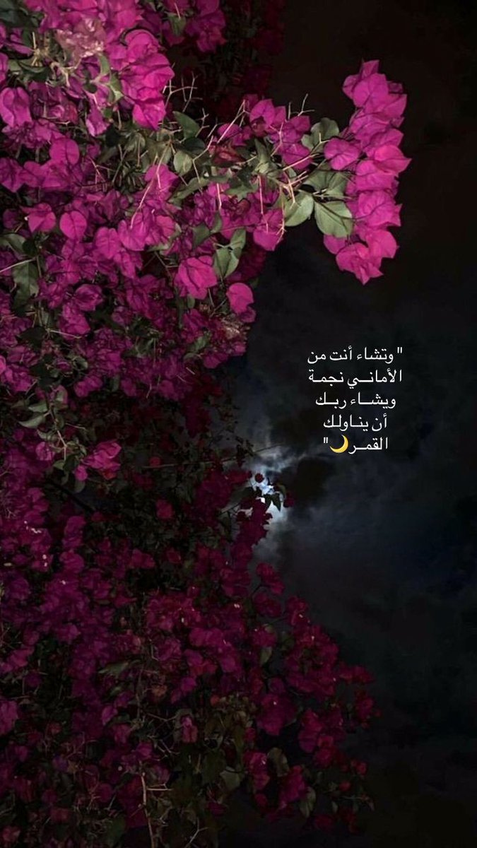 motm2na_'s tweet photo. رِسالة لكَ🩷.. https://t.co/nG8H62whfF