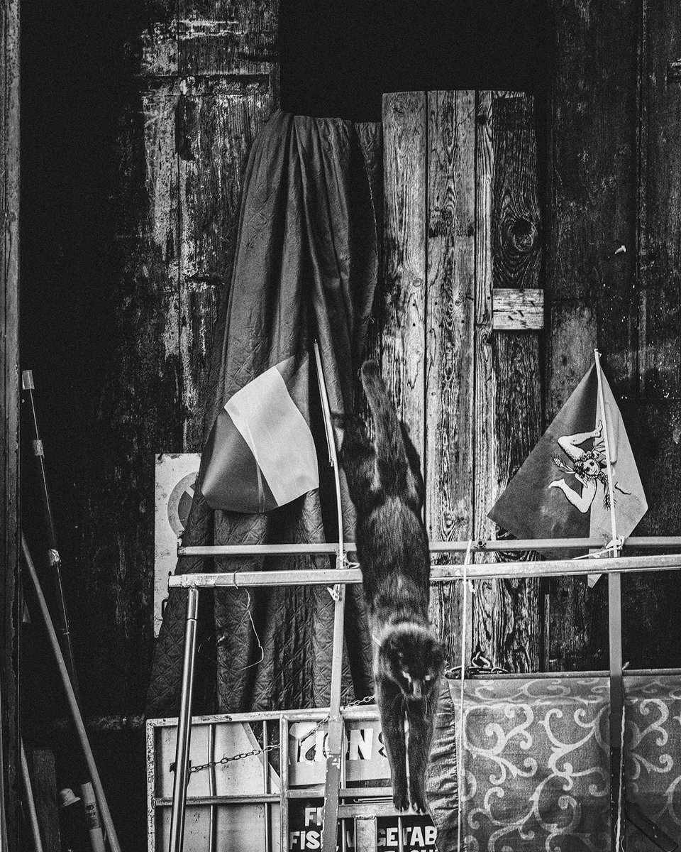 ~ a quick exit...

happy caturday!