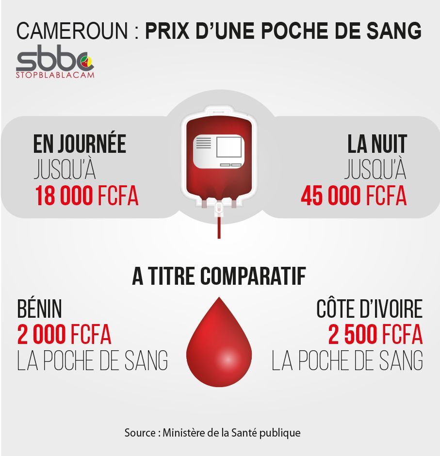 Investir au Cameroun tweet media