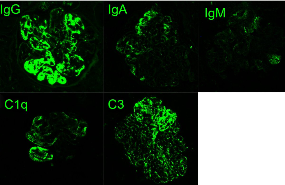 Jonathan Zuckerman MD PhD tweet media