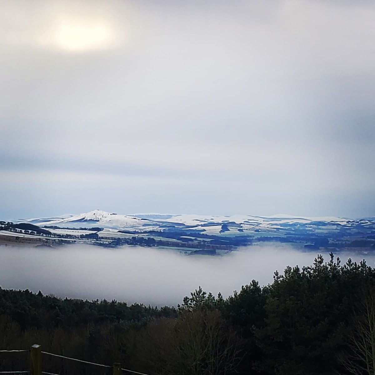 blonde_on_bikes's tweet photo. Frosty walk up to the Waterloo Monument, Peniel Heugh❄️#scottishborders #winterwalk #waterloomonument #harestanes https://t.co/NFdNhkpk30