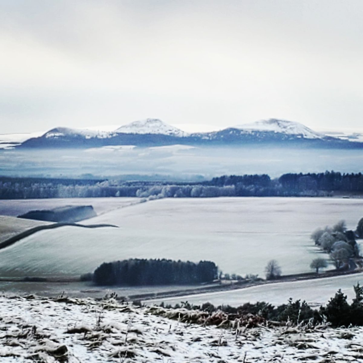 blonde_on_bikes's tweet photo. Frosty walk up to the Waterloo Monument, Peniel Heugh❄️#scottishborders #winterwalk #waterloomonument #harestanes https://t.co/NFdNhkpk30