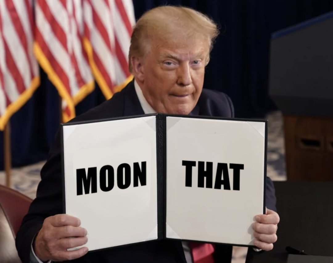 follow the 🌙👈 MT account in bio tweet media