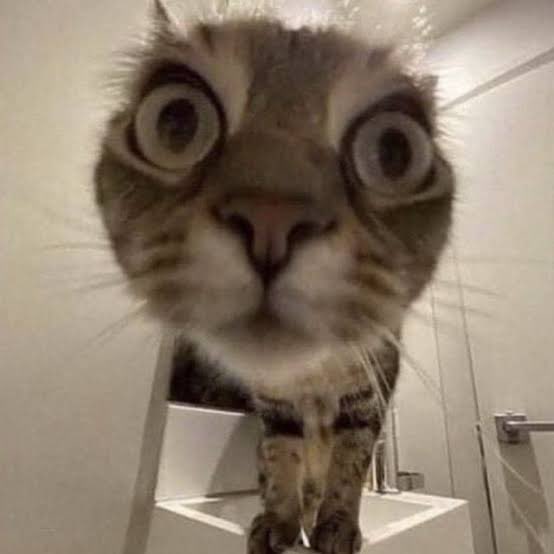 Zubairey.eth tweet media