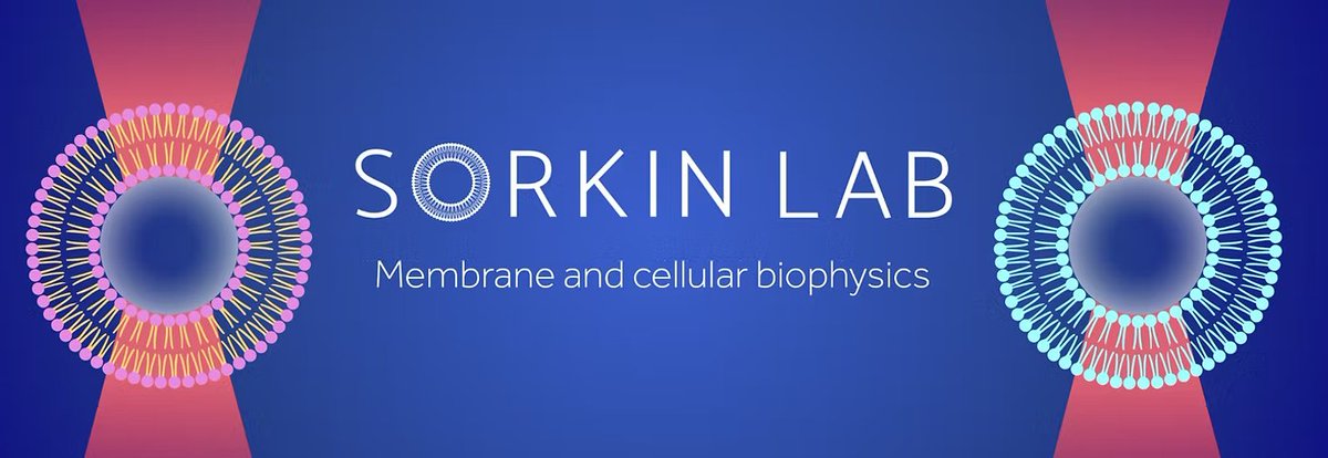 Opportunities for all tweet media