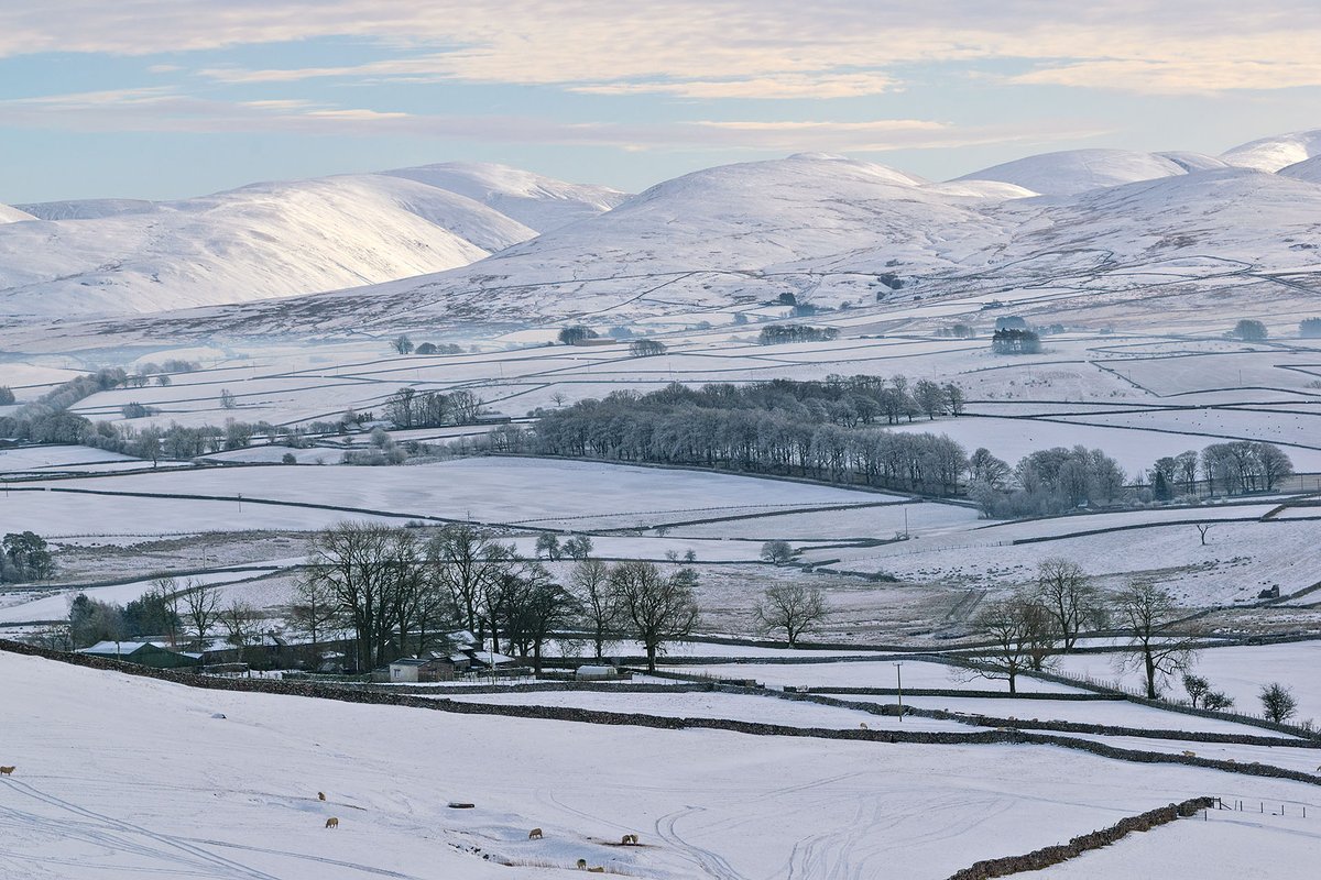 MaureenPlatts's tweet photo. The Howgill Fells from Orton Scars https://t.co/ovAGUY4ffs