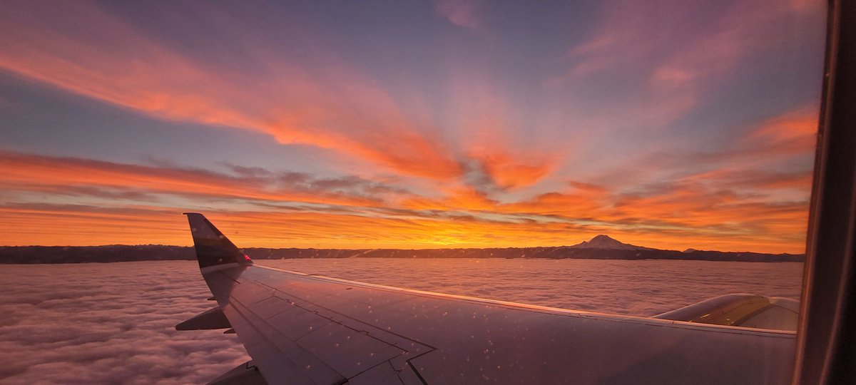 duranasaurus's tweet photo. @AlaskaAir SEA to SFO Jan 7th 2025 https://t.co/NnEMnAZufB