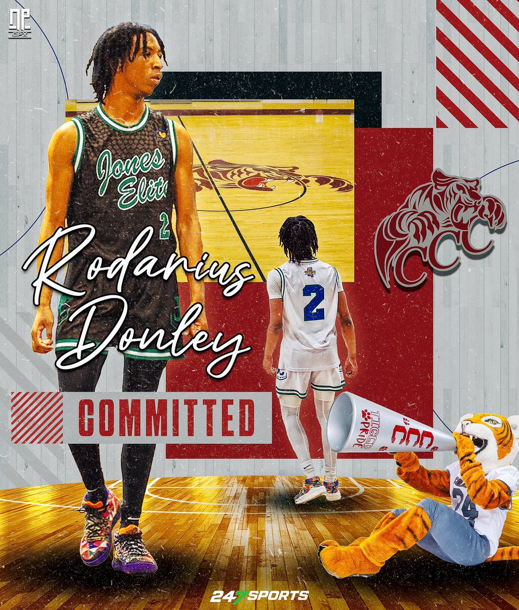 NPGPX Design tweet media