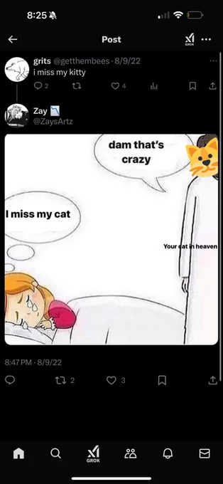 @kachikawawa3 Reminds me when Greta's fat ass cat died 
