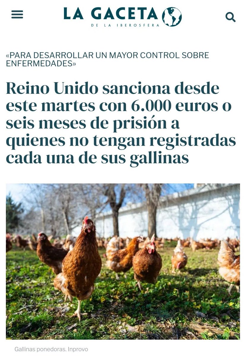 JaviRodrigo11's tweet photo. A las hordas de musulmanes paquistaníes que  violaron a 20.000 niñas no los metieron en prisión; pero quieren hacerlo con los que tienen gallinas. 

Reino Unido https://t.co/QpmwTUbYvL
