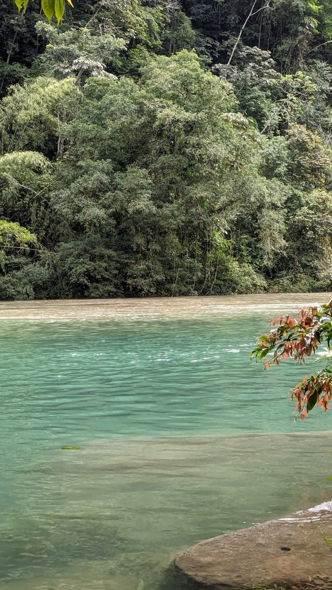 Anima_1518's tweet photo. ¿Vamos pa'l río? 🍁🍃✨ https://t.co/t0cAK7EZwj