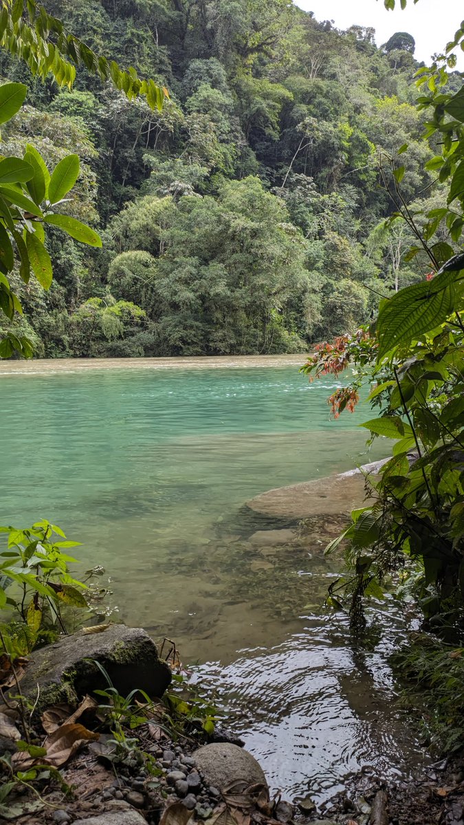 Anima_1518's tweet photo. ¿Vamos pa'l río? 🍁🍃✨ https://t.co/t0cAK7EZwj
