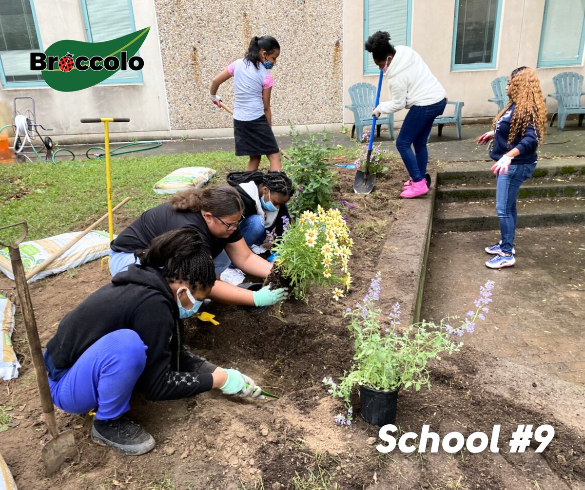 BroccoloLadyB tweet media