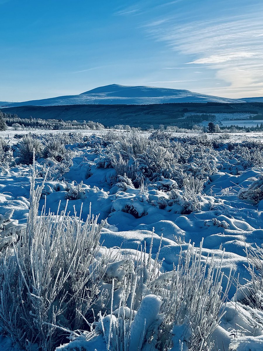 Winter in Speyside ❄️🗻💙