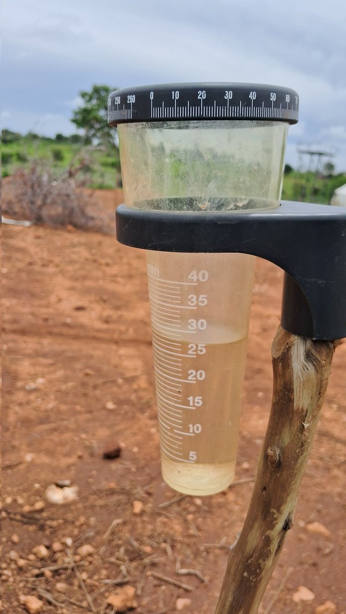ChitsigaFarm's tweet photo. We're taking advantage of the current rain spell to expand our fruit trees on the homestead. Frame 2 is guava and  🥭 trees, which we hope to establish into a fruit tree windbreak around a newly established lucerne plot. https://t.co/QJFJTJXbnI