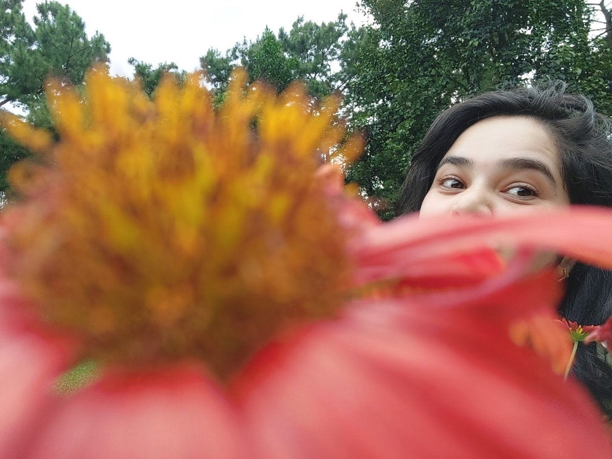 madhujaiswal858's tweet image. Blooming beautiful day! Grateful for every moment. #GreatDay #FlowerPower