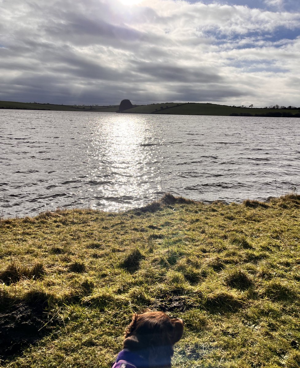 PurlDesign's tweet image. Glimpses of sun! #siblybacklake #cornwall