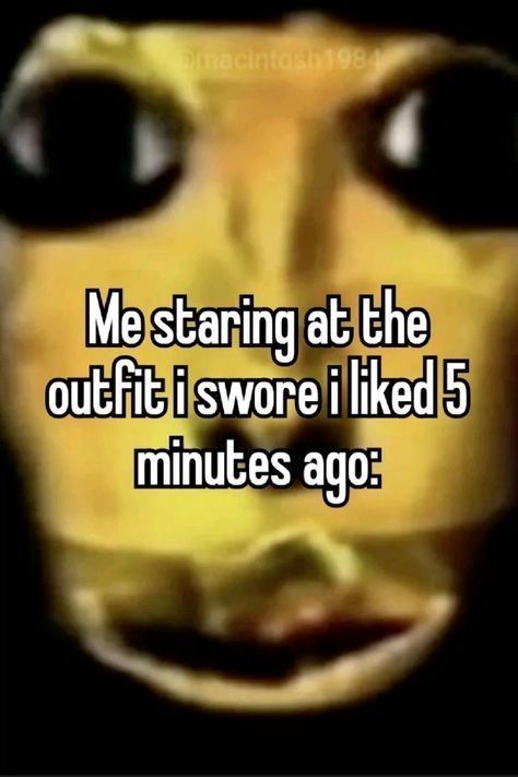 Wild TikToks (@wildtiktokss) on Twitter photo 