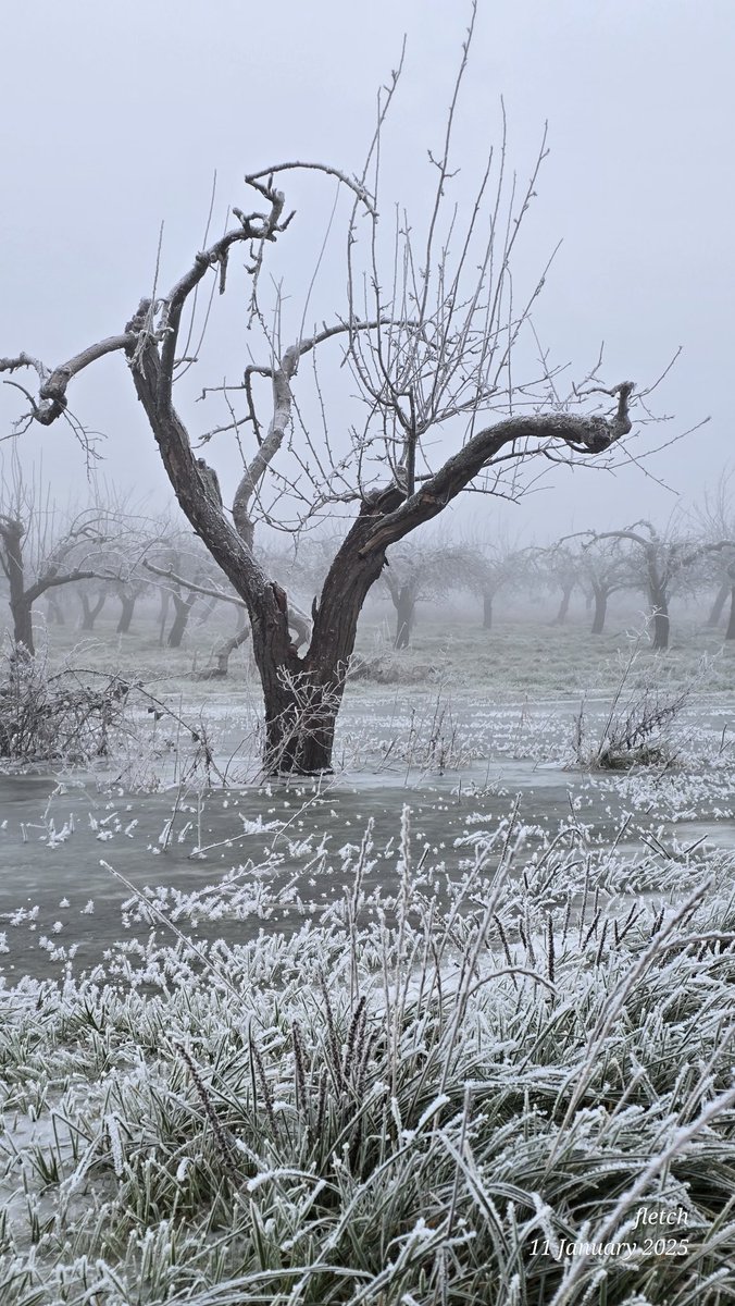 pepfletch's tweet photo. Winter wonderland walk https://t.co/UZ9l9MOKJr