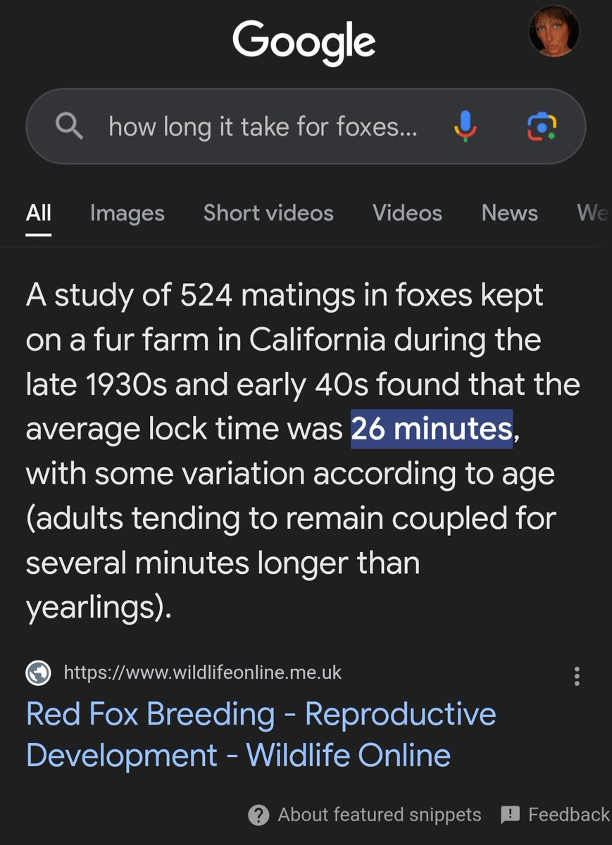 UniqueMl20's tweet photo. Last night I saw a fascinating thing #matingfoxes but it was sad because on #Google it said they lock for 26 minutes afterwards 😫 poor #femalefox I felt like i wanted to help but that's nature unfortunately #painful #spikey #foxcock 🦊🦊 it was -3 last night 🥶 #shrinkage 🥶 https://t.co/YoKUAvhujo