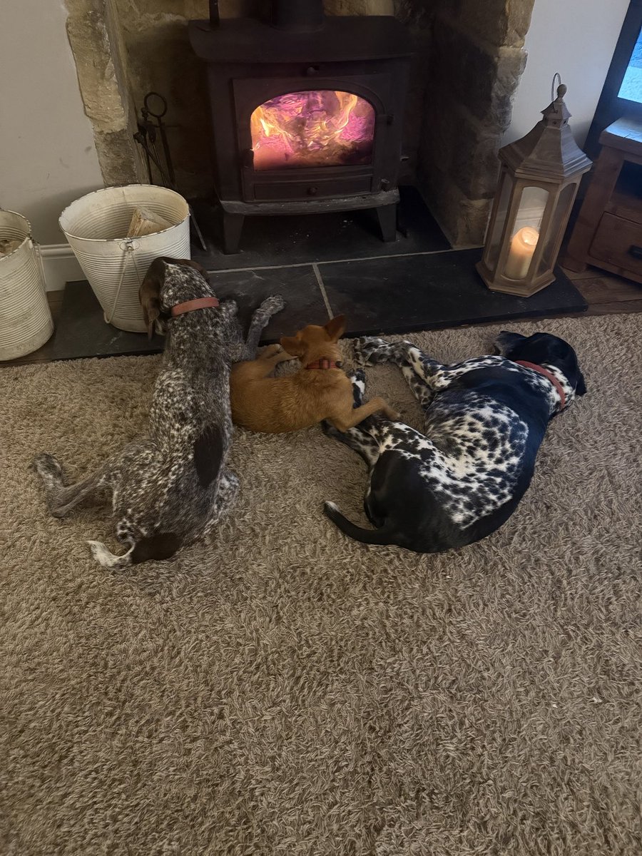 Lucy Clough tweet media