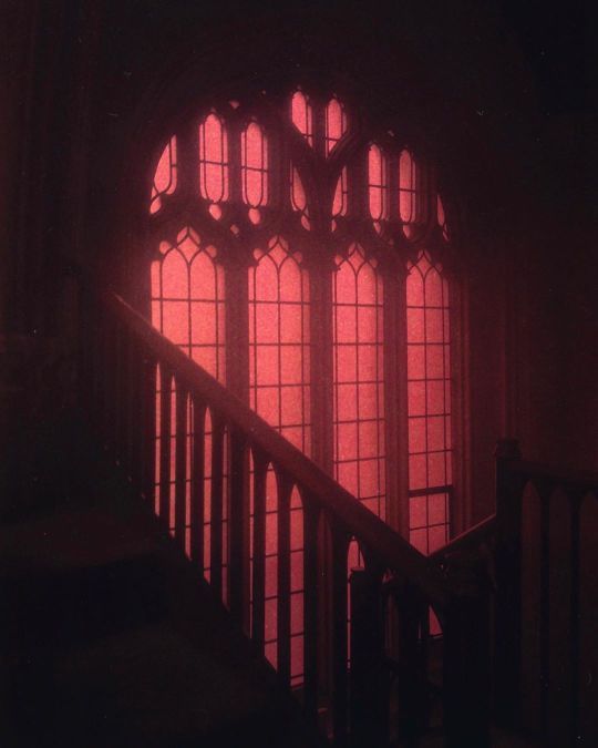 cactusmoonie_'s tweet photo. Convite de Sangue • #caitvi short¡fic

Após dois anos distantes, Caitlyn recebe um convite para visitar Violet no internato durante uma confraternização. Mas ao chegar, nota algo estranho: Violet não está feliz com sua visita. E ela descobre o motivo assim que os jogos começam. https://t.co/SF5ocKT7WA