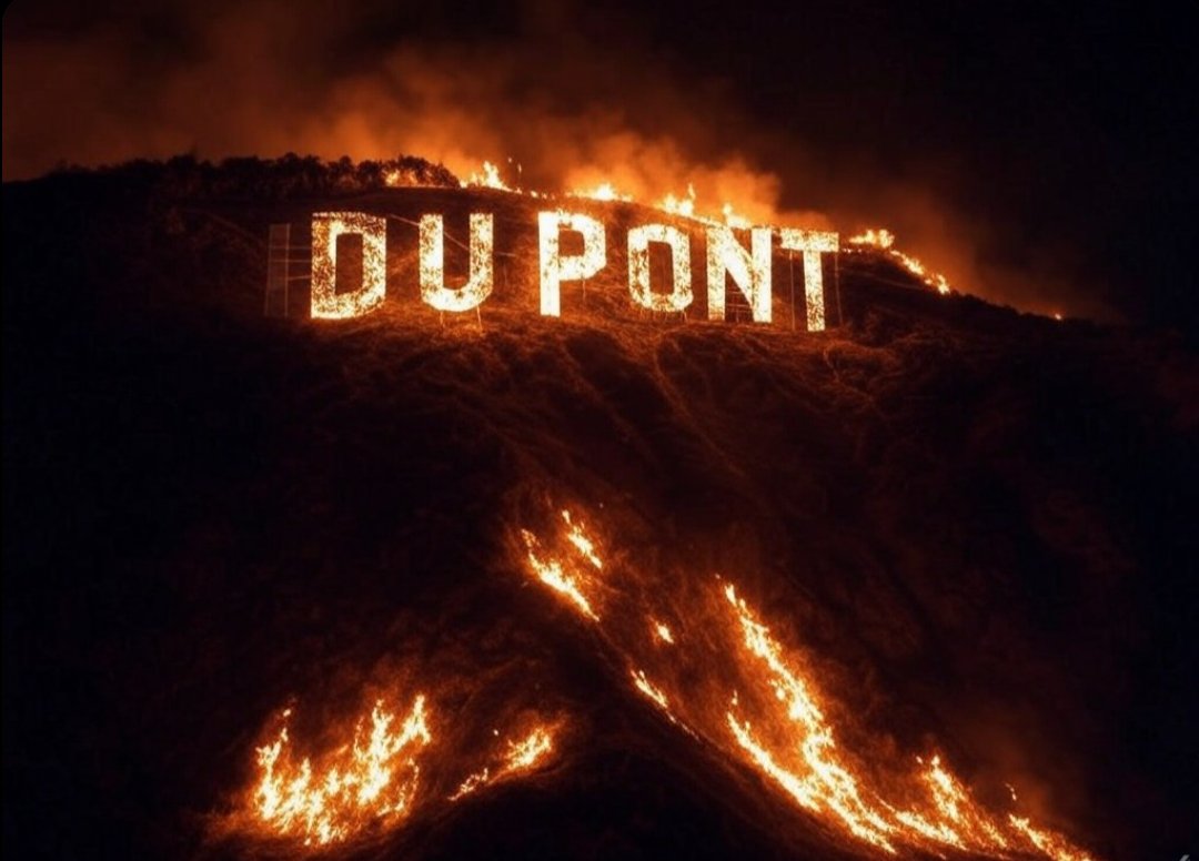 camtreezy's tweet image. Soon....
$ss #fuckdupont