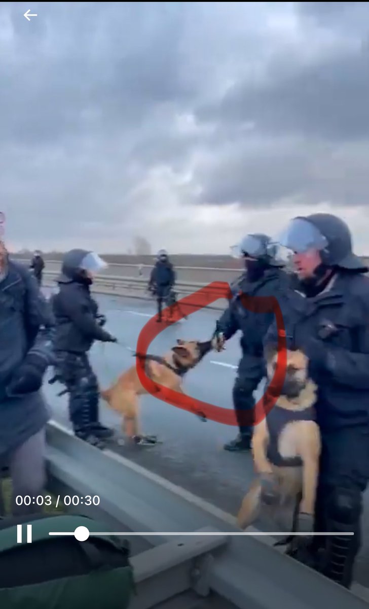 marcoIsantos's tweet photo. @PolizeiSachsen @politicalbeauty Schönen Feierabend allerseits. #rie1101 https://t.co/CVNcwByEDC