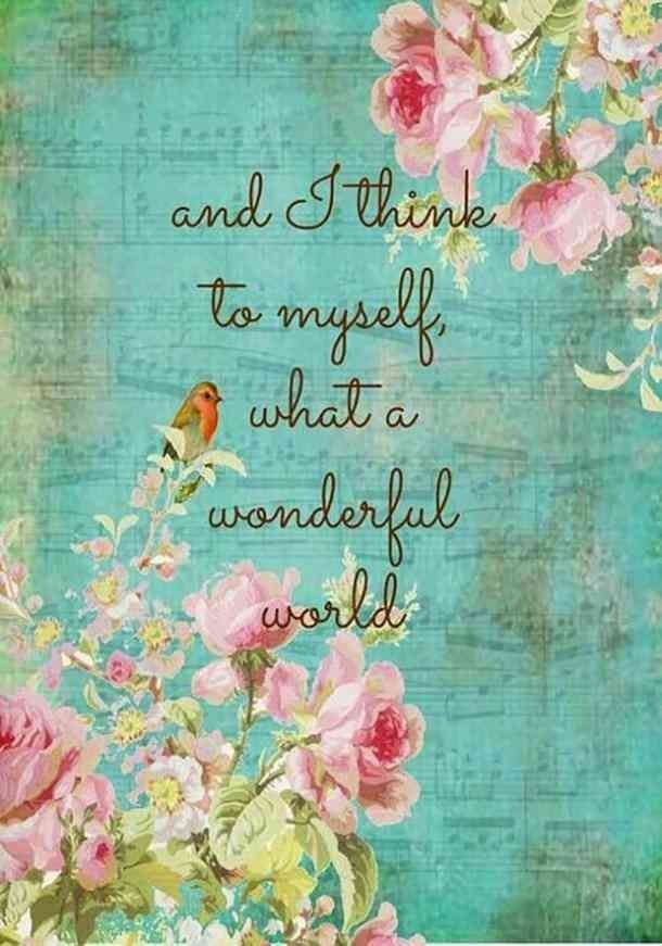 POSITIVITY (@positivitysaid) on Twitter photo 