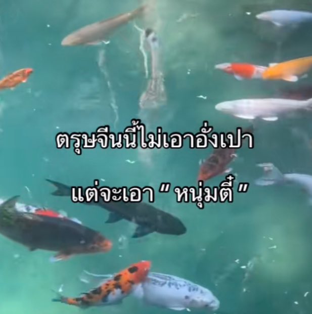 yumi (@hellobabyjhb) on Twitter photo 