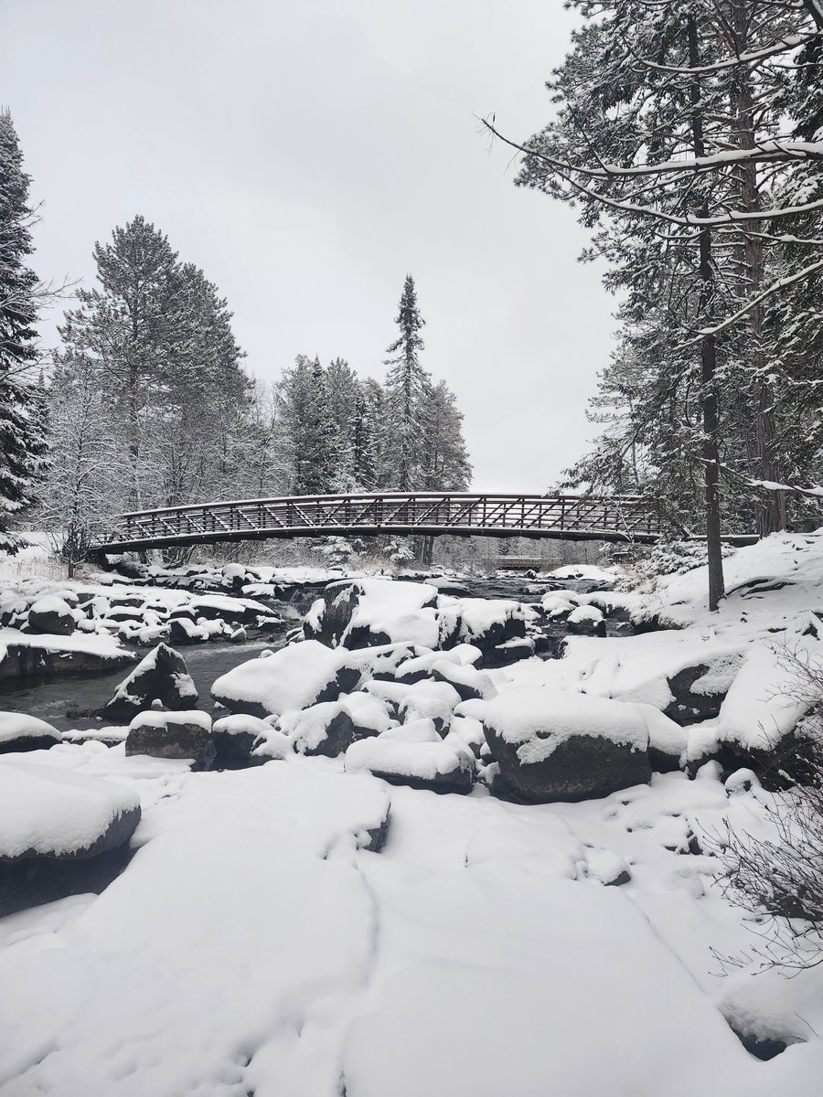Rushing River PP tweet media
