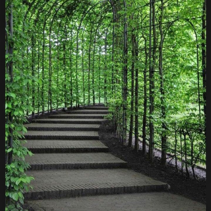 #صورة_ملف_شخصي_جديدة