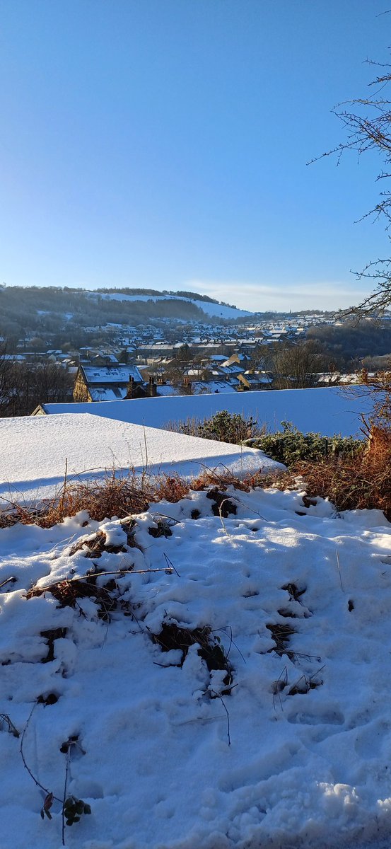 john byron armitage tweet media