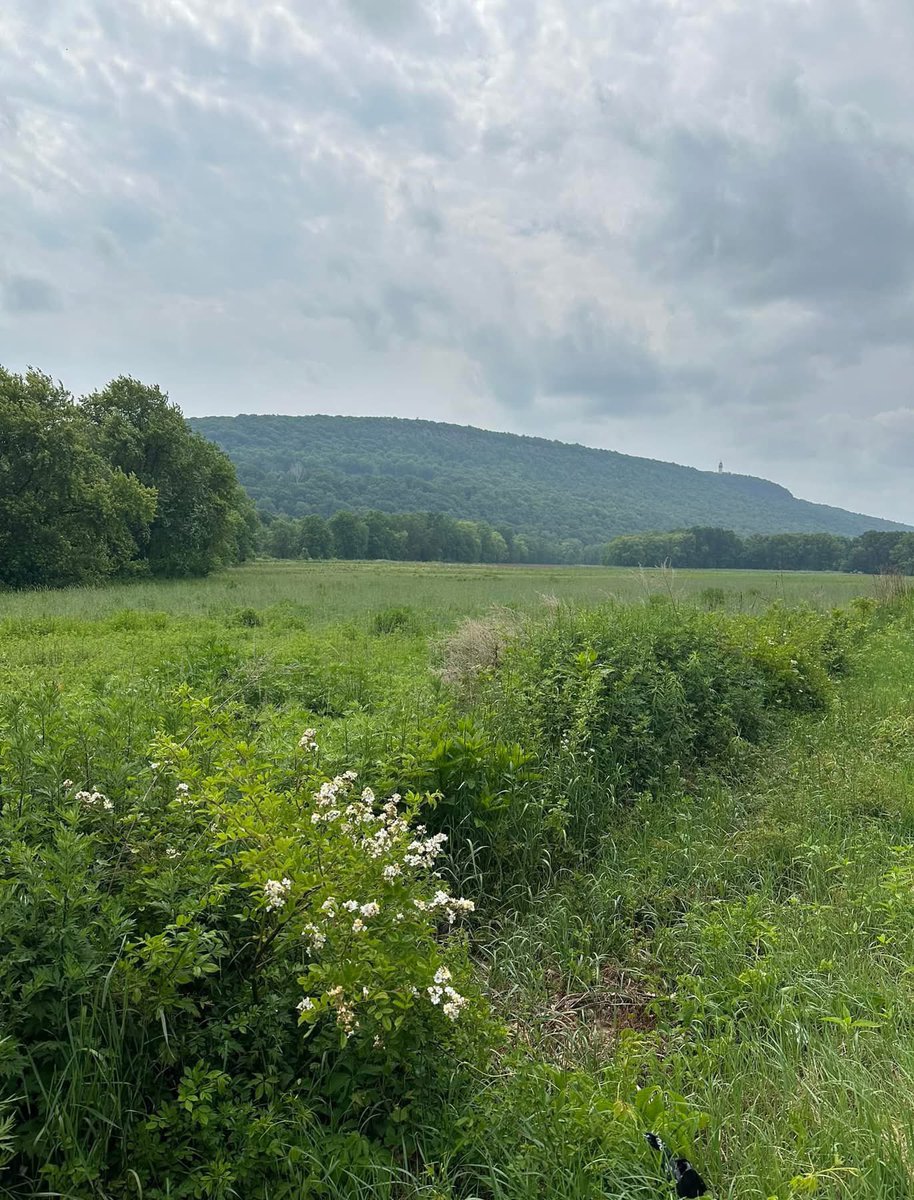 Kate Avery tweet media