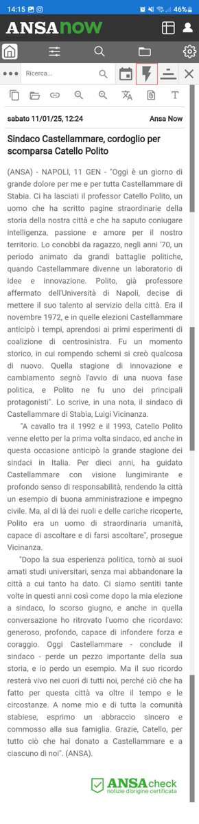Un ultimo saluto a Catello Polito, autorevole sindaco di Castellammare di Stabia, scienziato di caratura internazionale, amico di una vita