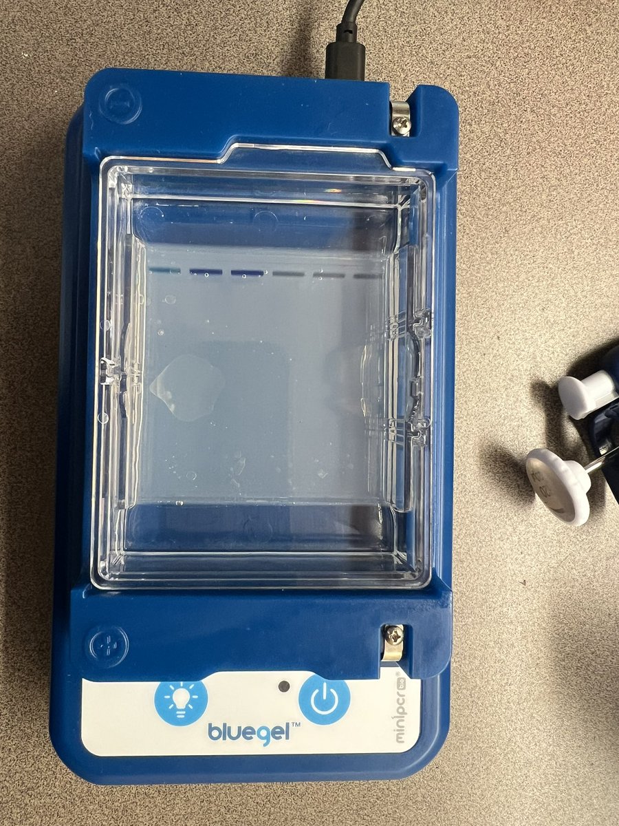 mrsgrulichlhs's tweet photo. What a great PD! 3 people with 3 different genotypes. https://t.co/nN4oFLKEcH