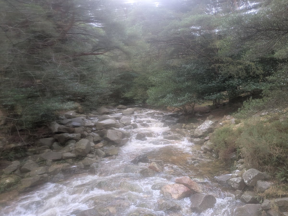 Nintentoad2's tweet image. 