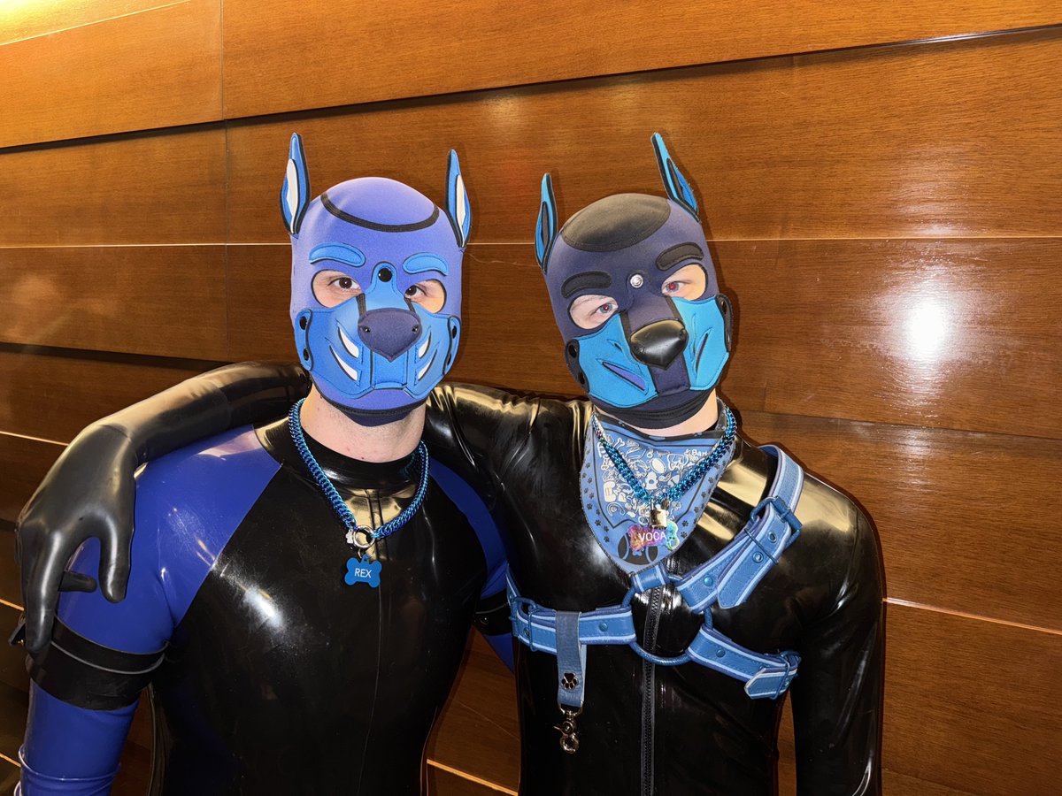 Rex 🔜 MAL2026, MIR30 tweet media