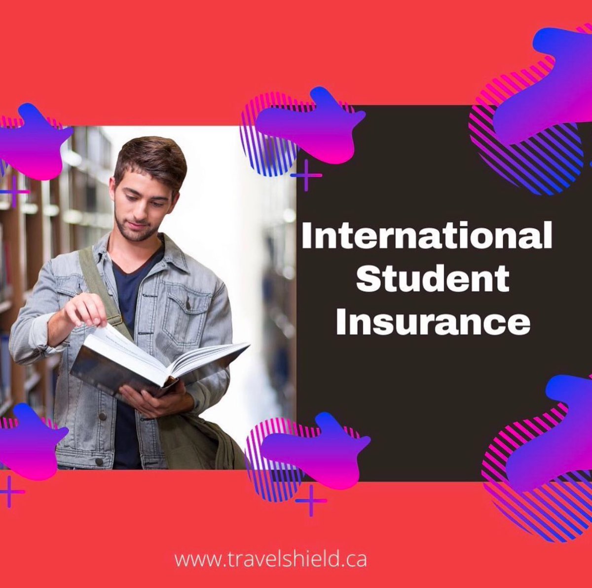 CanadaShield's tweet photo. International Student Insurance to Canada. https://t.co/kku3znfqUT For more information you can reach us at 1 (866) 517-0606 #insurance #healthinsurance #studentinsurance #internationalstudentinsurance #education #internationaleducation #internationalstudent #studentvisa https://t.co/Kc3PlorePc