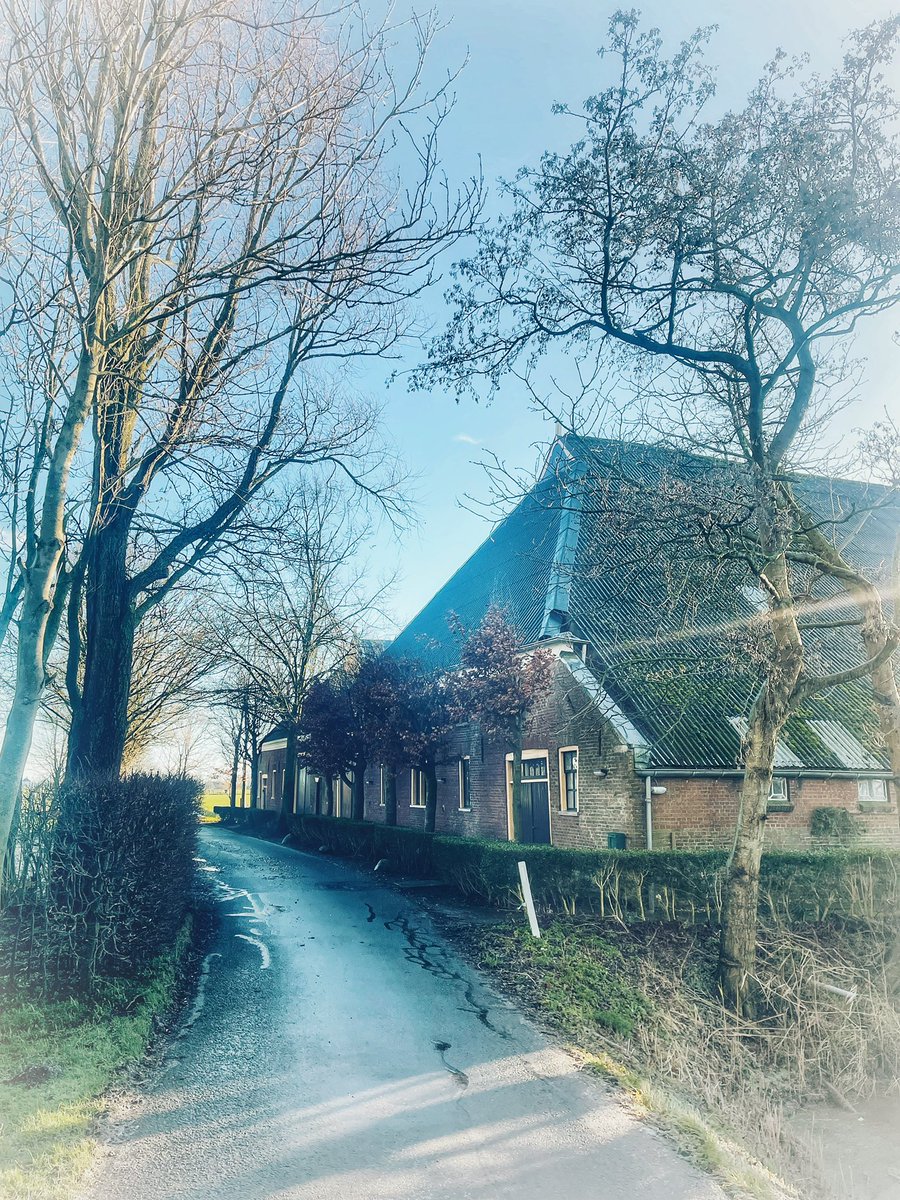 Mooigrunnen® tweet media