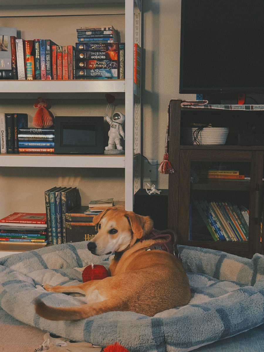 devaxxreads's tweet image. Better late than never I guess haha 
📚2025 Books - a thread 👇🏻