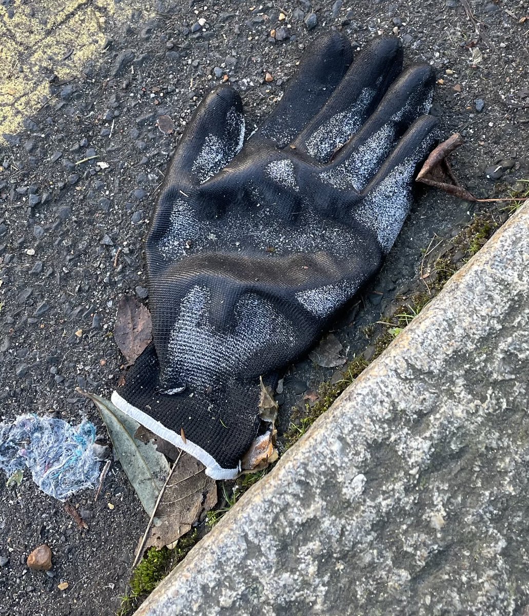 ⁦<a href="/singleglove/">lostglove</a>⁩ #Eastbourne