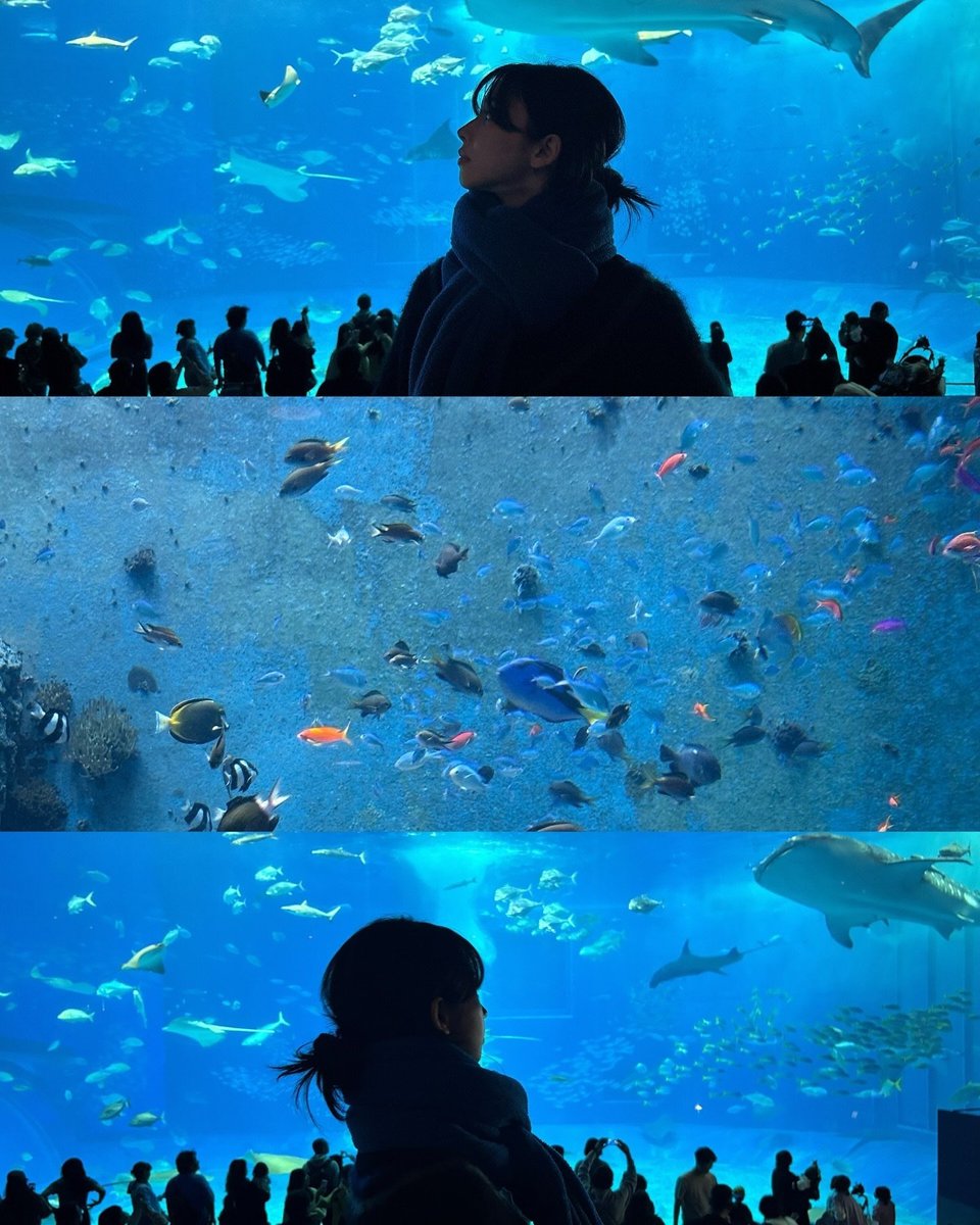 krnswife_'s tweet photo. she would tell you a lot of facts about dinos sea animals then proceed to show you her gardenscapes ranking and her shinchan themed things collection https://t.co/K4FI1K8qb5