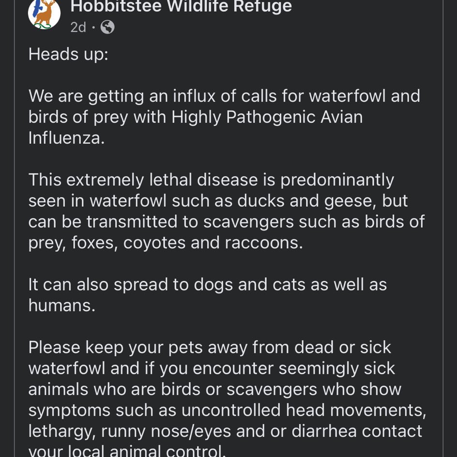 Outbreak Updates tweet media