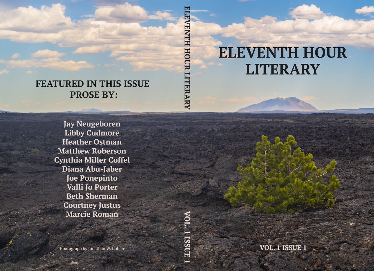 Eleventh Hour Literary tweet media