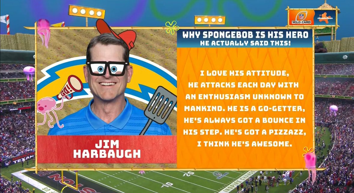 Big Cat tweet media
