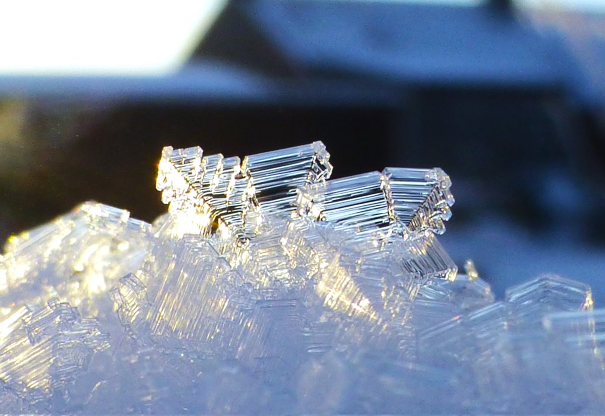 Lisa@Lethen (@lisawood81) on Twitter photo Macro ice crystals, Nairn, Scotland -14c° 11/01/25 <a href="/BBCScotWeather/">BBC Scotland Weather</a> <a href="/StormHour/">#StormHour</a> <a href="/MacroHour/">#MacroHour 🌿</a> <a href="/metoffice/">Met Office</a> #Macro Macro ice crystals, Nairn, Scotland -14c° 11/01/25 <a href="/BBCScotWeather/">BBC Scotland Weather</a> <a href="/StormHour/">#StormHour</a> <a href="/MacroHour/">#MacroHour 🌿</a> <a href="/metoffice/">Met Office</a> #Macro